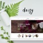 Daisy Cosmetics