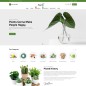 PlantB - Gardening, HomeDecor & Houseplants Store