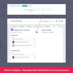 All-in-one: Related Products, Cross Selling, Upsell Augmentez rapid...
