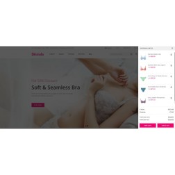 Skimsla - Lingerie, Bikini & Underwear Store Skimsla Prestashop Res...