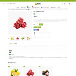 Flavoro - Magasin de livraison d'aliments biologiques Flavoro - Mag...