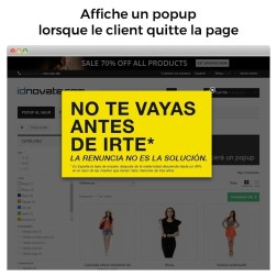 Popup (à l'entrée, sortie - exit popup, ajout de produit) et Newsle...