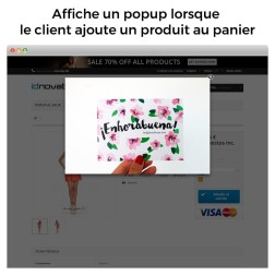 Popup (à l'entrée, sortie - exit popup, ajout de produit) et Newsle...