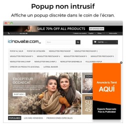 Popup (à l'entrée, sortie - exit popup, ajout de produit) et Newsle...