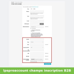 Inscription B2B - SIRET / TVA & Groupe automatique Formulaire d'ins...