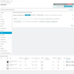 Produits d'édition en masse Module d'édition en masse de produits e...
