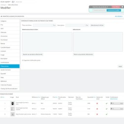 Produits d'édition en masse Module d'édition en masse de produits e...
