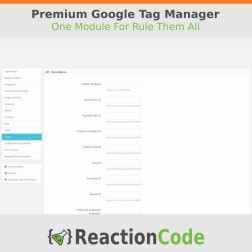 Premium Google Tag Manager Obtenez une intégration professionnelle ...