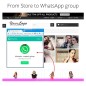 WhatsApp - Chat clients et WhatsApp Business