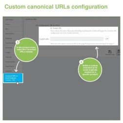 Canonical SEO URLs + Google Hreflang Pro Ajoutez des balises canoni...