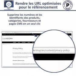 Pretty URL , Balises Méta, Redirection, Plans de site Le module Pre...