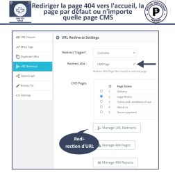 Pretty URL , Balises Méta, Redirection, Plans de site Le module Pre...